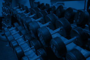 Contatti palestra Fitness Campus Novara