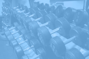 Contatti palestra Fitness Campus Novara