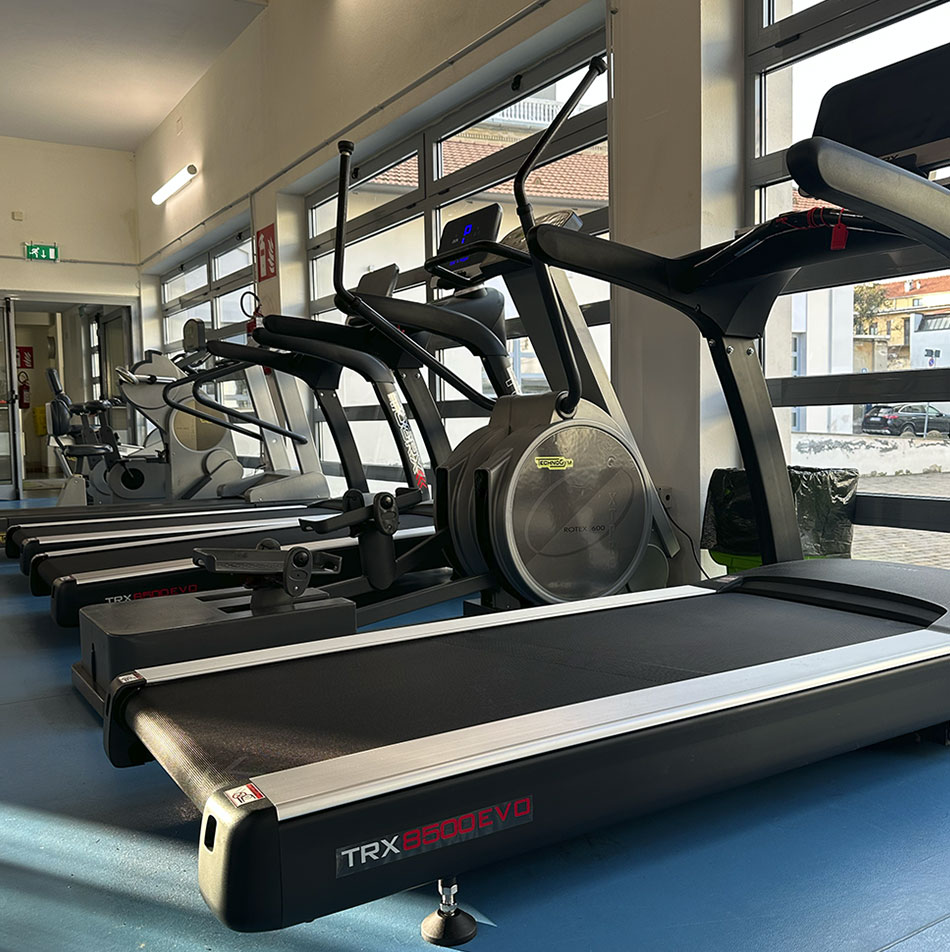 LA PALESTRA